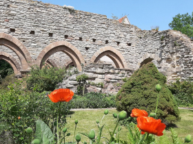 Öffentliche Führung im Kloster Memleben